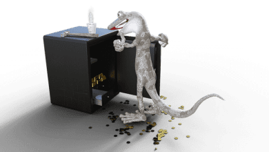 Грабитель Богатства в карте Ба Цзы